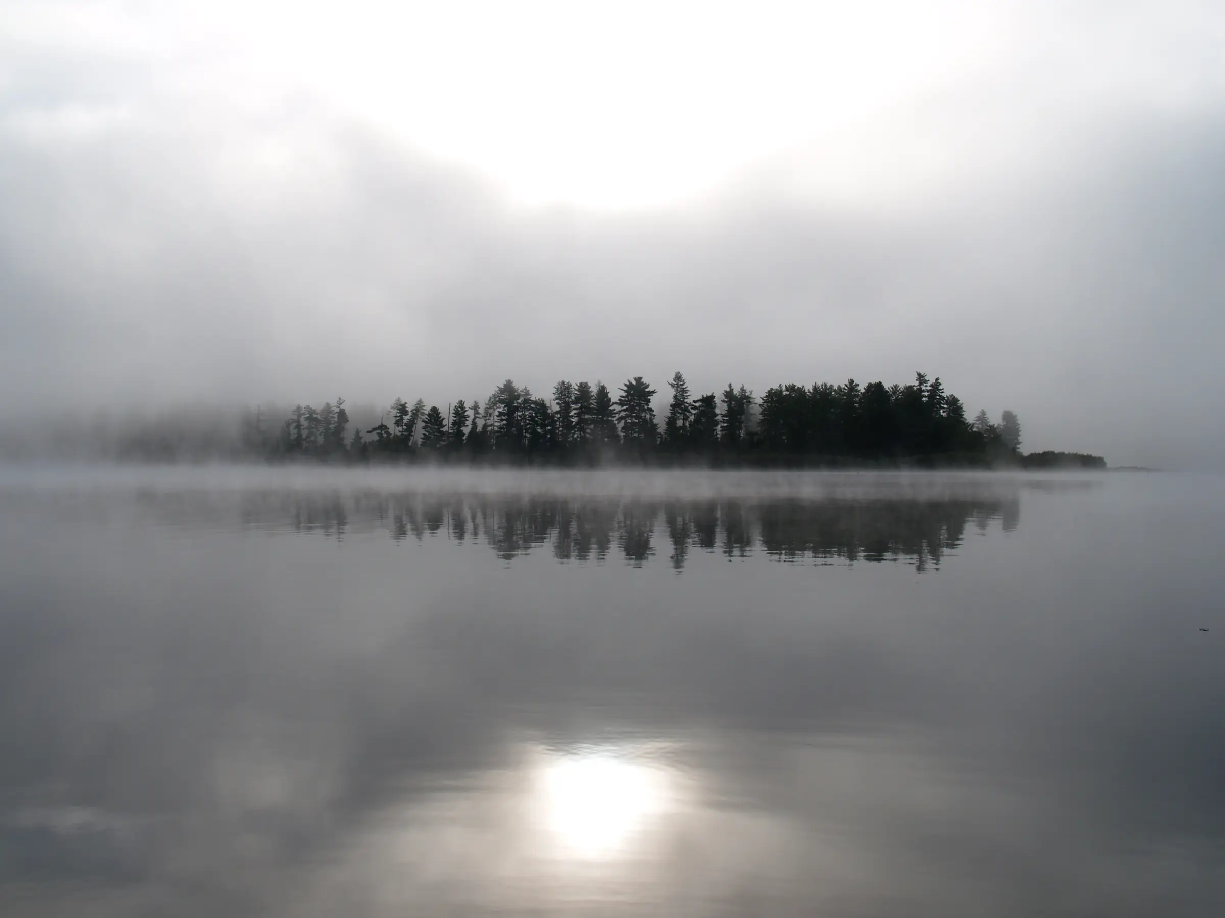 A low island of pines in grey morning mist on Lake Travers, Algonquin Park